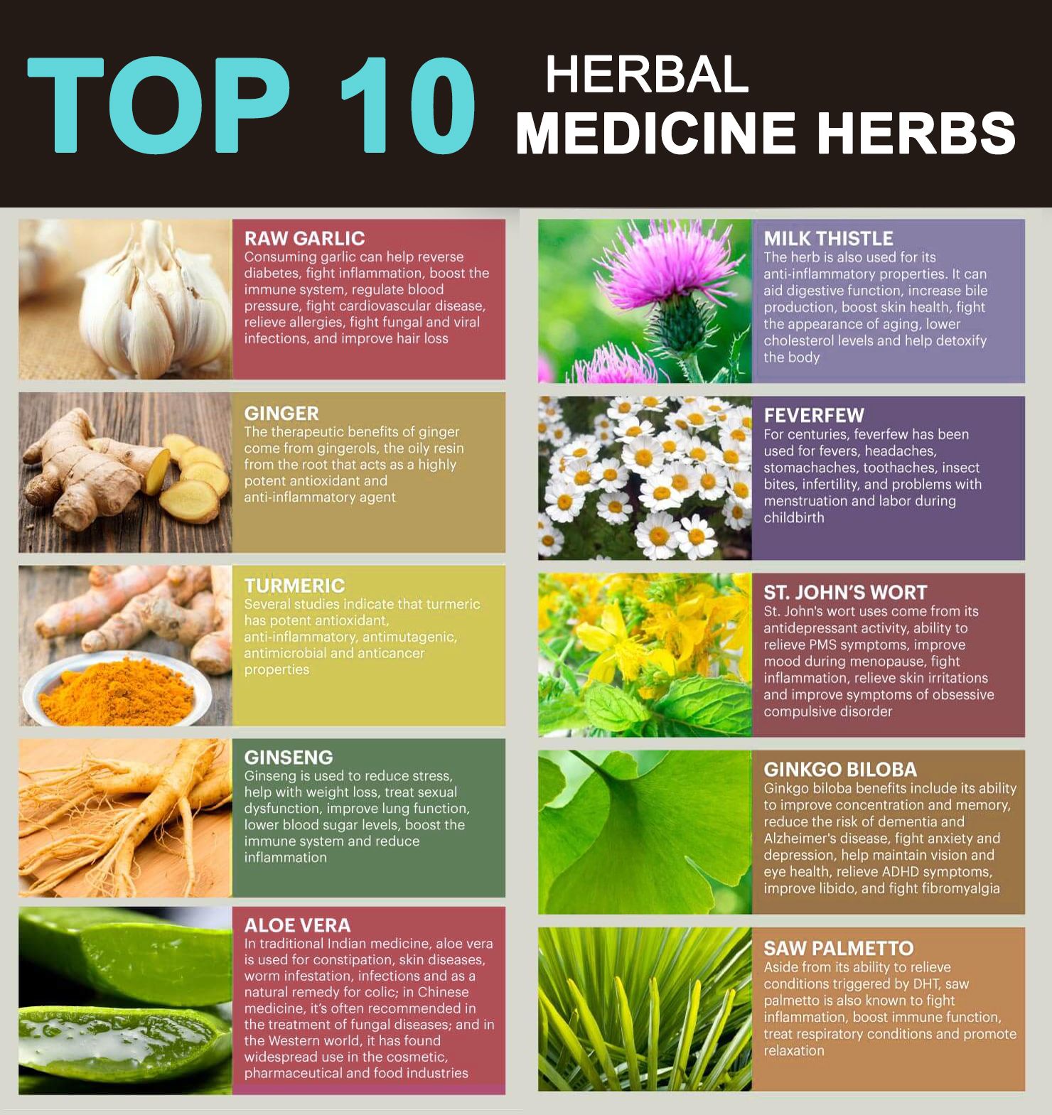 10 Herbal Medicine - Vedic Paths